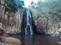 Into the Jungle: Discovering Khao Yai National Park, Thailand.