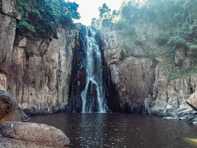 Into the Jungle: Discovering Khao Yai National Park, Thailand.