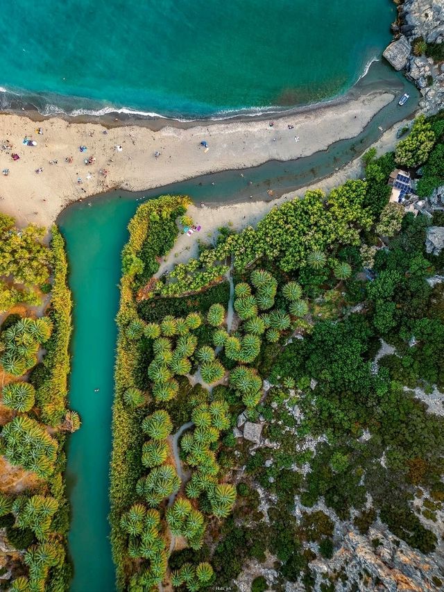 🌴 Preveli Palm Beach: A Unique Oasis Where River Meets Sea 🇬🇷✨