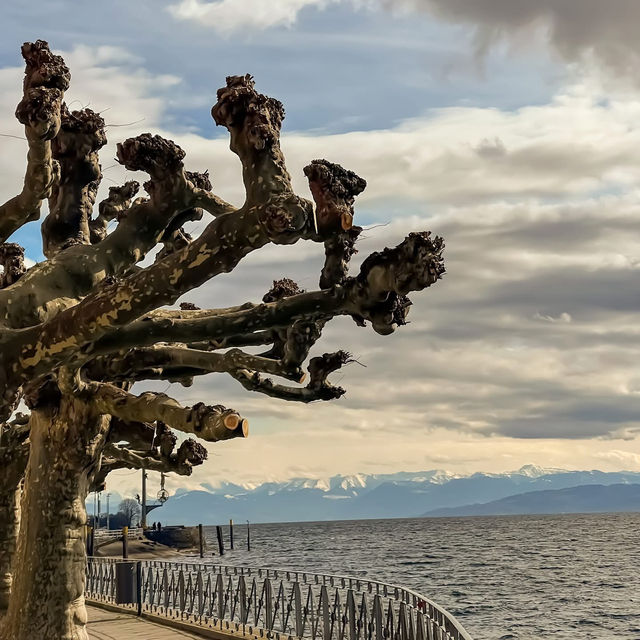 Medieval charm meets lakeside magic — welcome to Meersburg, Germany 🇩🇪🏰