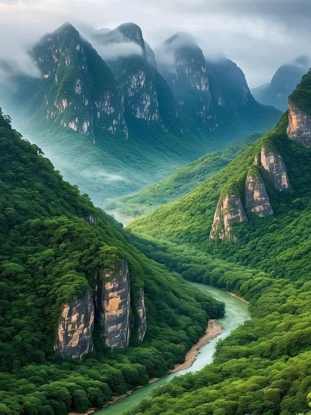 ⛰️ Wuyi Mountain – Misty Peaks and Ancient Paths in Fujian