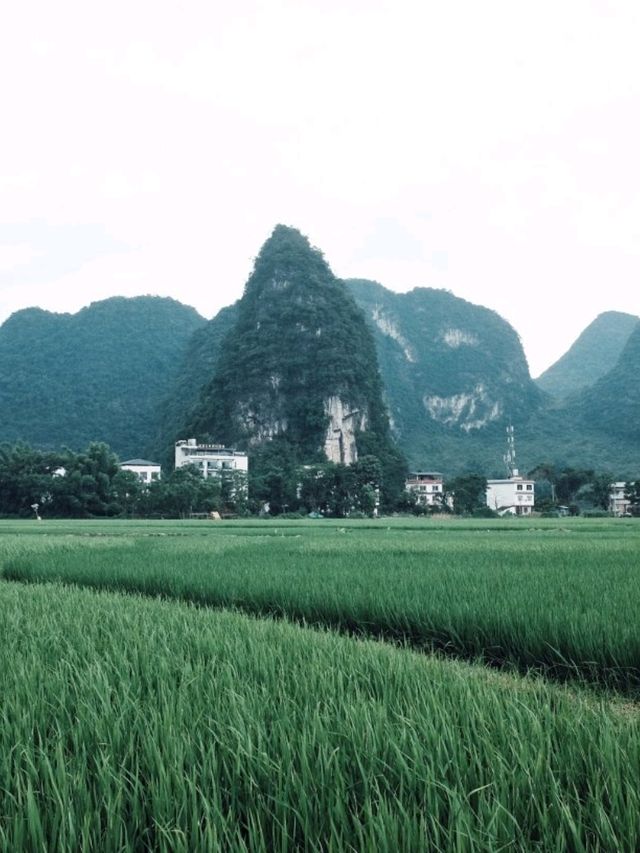 Yangshuo Travel Guide 🌄✨