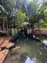 Peaceful spot with beautiful river to swim
