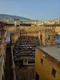🐪 The Tanneries of Fez: A Colorful Window into Morocco’s Ancient Craft