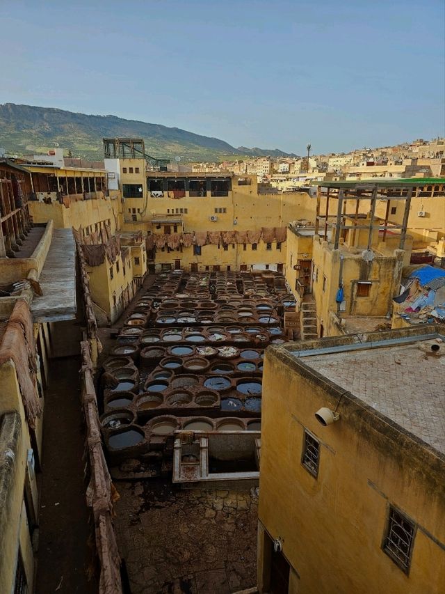 🐪 The Tanneries of Fez: A Colorful Window into Morocco’s Ancient Craft