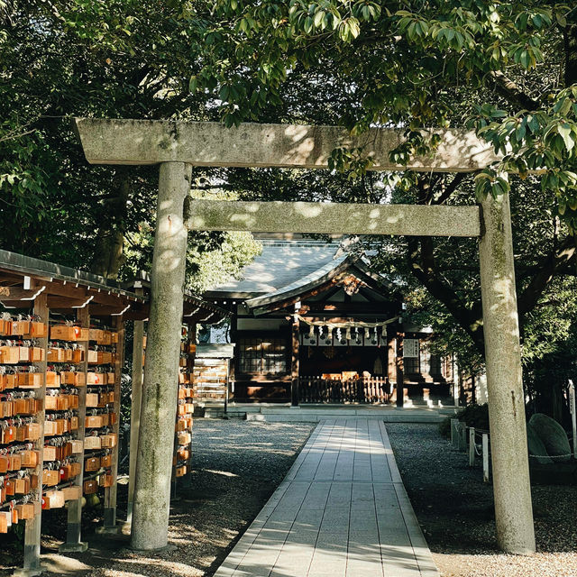 Tokyo Today, Nagoya for the Day: A Quick Cultural Escape