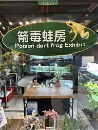Bird World Review: A Wild Day Out in Taipei’s Animal Kingdom