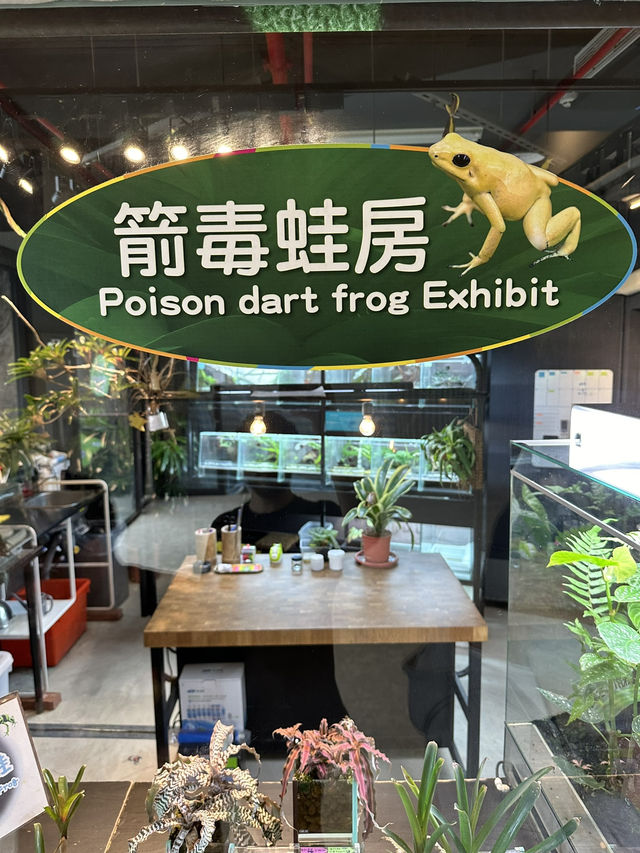 Bird World Review: A Wild Day Out in Taipei’s Animal Kingdom