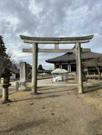Deer, Temples & Tranquility: The Ultimate Nara Park Stroll 