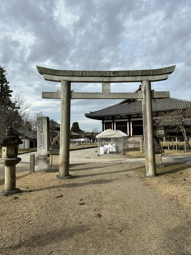 Deer, Temples & Tranquility: The Ultimate Nara Park Stroll 