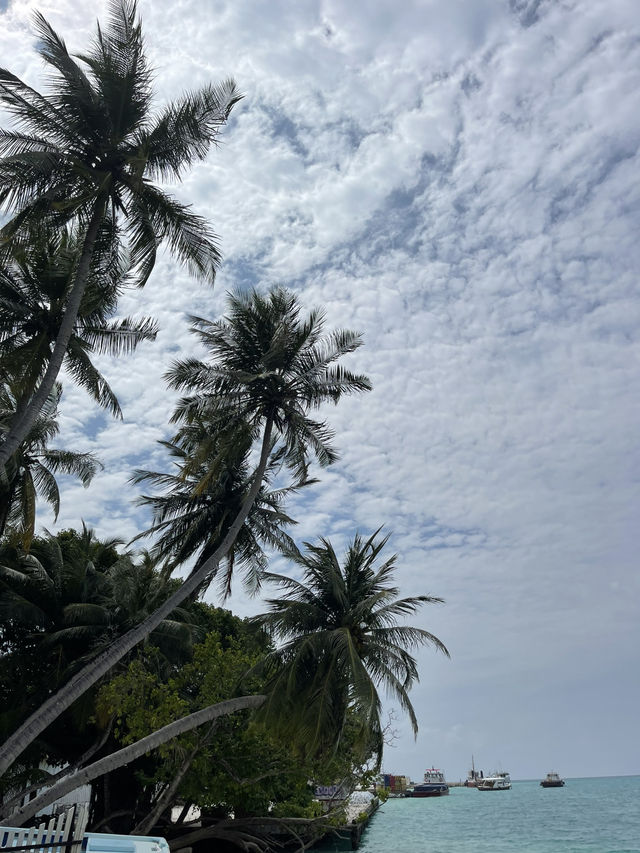 🏝️ Thulusdhoo – Island Life in the Maldives 🌊✨