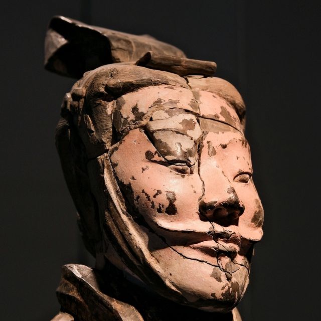 Terracotta Army, Hall of Cultural Relics / 2025 Terracotta Army, Hall of Cultural Relics / 2025
