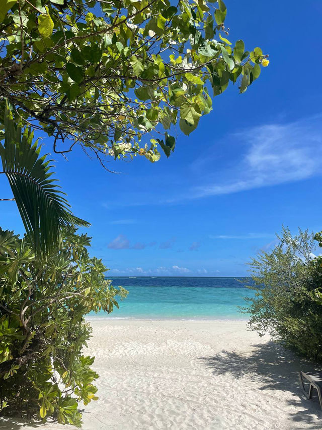 Let Me Take You To Heaven On Earth: Adaaran Club Rannalhi 🌊✨