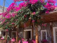 Seaside Perfection✨