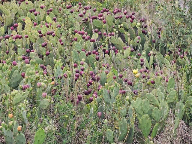 Wild Hearts & Golden Horizons: Fall Safari in Kenya Wild Hearts & Golden Horizons: Fall Safari in Kenya