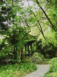 В Чэнду на 1 день