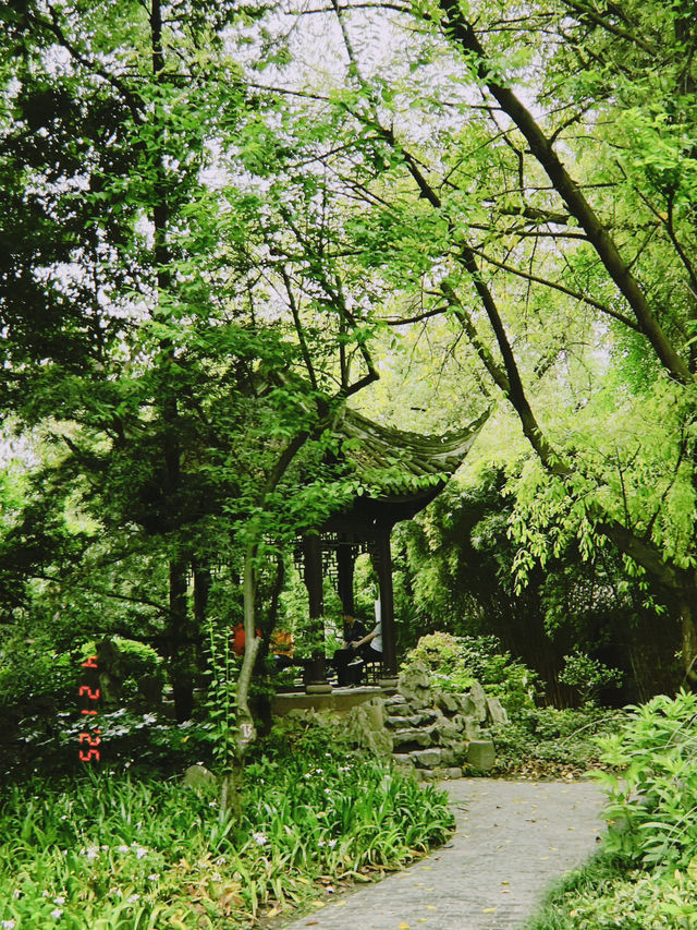 В Чэнду на 1 день