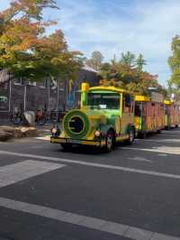 與自然共舞——科隆植物園