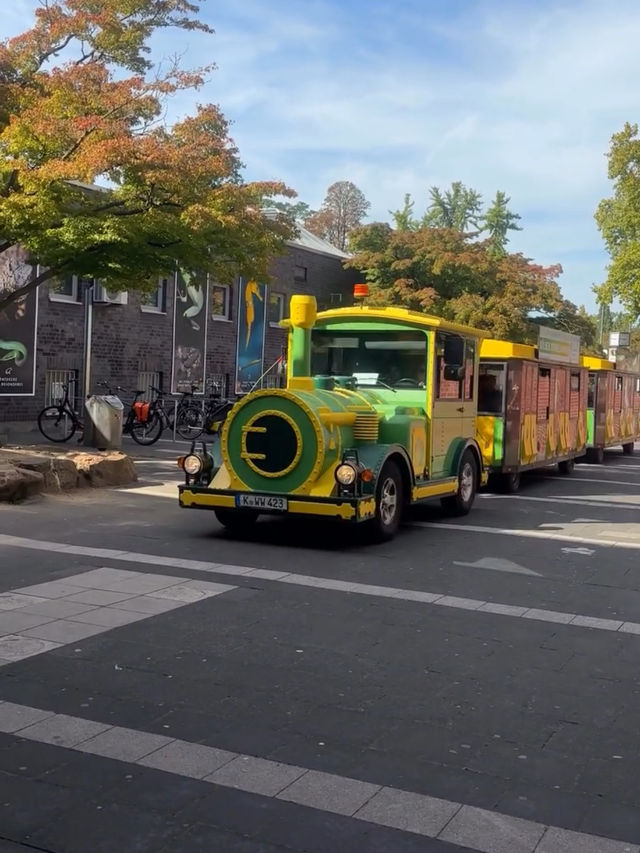 與自然共舞——科隆植物園 與自然共舞——科隆植物園