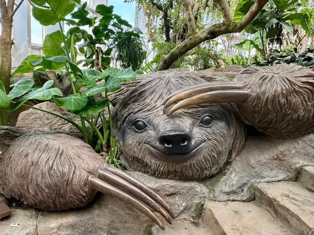 Riverside Experience and Relaxation