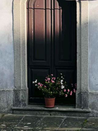 #winterescape Step Back in Time at Cassero Senese of Grosseto ⛩️🌺  
Grosseto’s mighty fortress, the Cassero Senese, invites you to wander through medieval history while capturing picture-perfect corners at every turn. This hidden gem is as atmospheric as it gets—think ancient gates, rugged stone passages, and rustic doors blooming with vibrant florals!  

Begin your stroll along Via Aurelio Saffi; the fortress greets you with its stately presence. Must-do: climb the historic ramparts for panoramic views of Grosseto’s old town and the sweeping Tuscan countryside—sunset here glows with magic! Take your time exploring the shadowy courtyards and thick stone walls; if you’re lucky, you might find tranquil spots where locals walk their dogs or cats lounge lazily in sun patches.  

Photo tip: Don’t miss that Insta-worthy shot of a dark wooden door, framed by a burst of pink flowers in a potted plant—the texture and hues pop beautifully in soft evening light. The old bricks and secret corners make every close-up, from flower details to charming architectural touches, feel like a slice of Tuscan life.  

Practical tips: The Cassero Senese opens 3:30 PM–6:30 PM (closed Tuesdays), so plan your visit around these hours for the best experience. Wear comfy shoes—cobblestones abound and the fortress paths are uneven. Mind your step in dimly lit corridors and don’t miss peeking out over the city walls for scenic views.  

Key precaution: If you’re visiting in spring or summer, bring water and a hat as shade can be scarce on top.  

#Grosseto #CasseroSenese #TuscanyTravel #HiddenGems #TravelPhotography