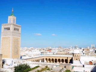 Sunny Street Scene🌞