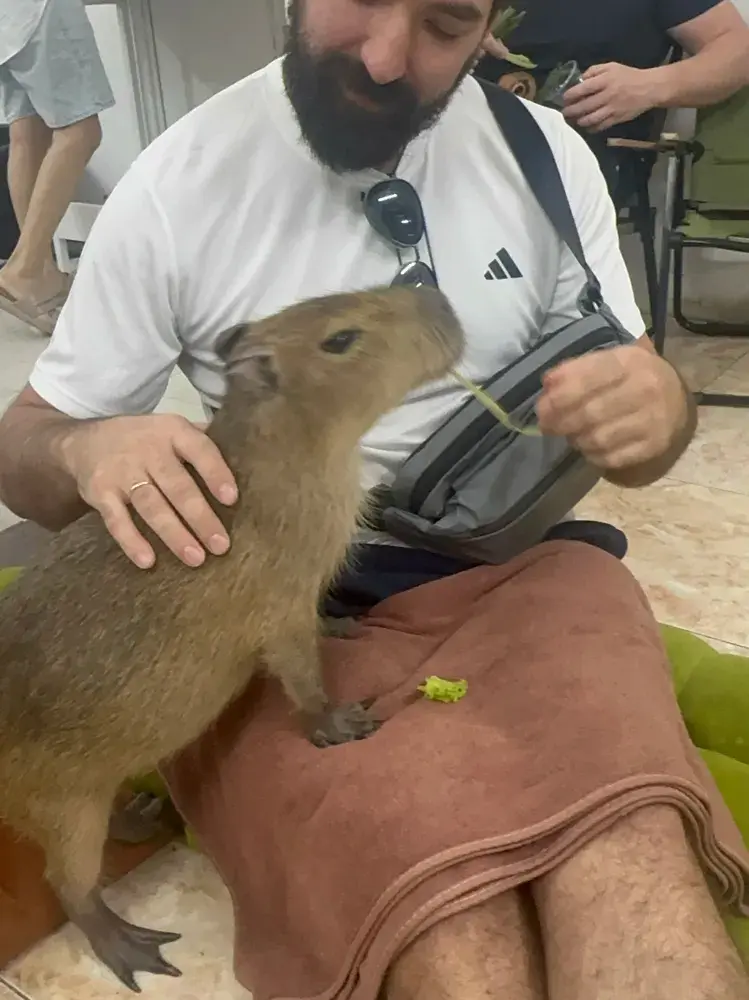 ニャチャンのカピバラカフェ🇻🇳