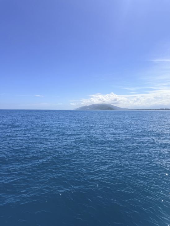 I bought a whale watching ticket at Whale World (Hualien Harbor) on Trip.com, and got to see dolphins and whales all at once!