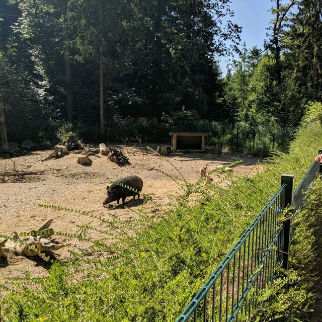 Ljubljana zoo