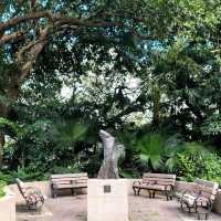 🏯🦢 Kowloon Park: A Hidden Oasis in the City 🌳🐒