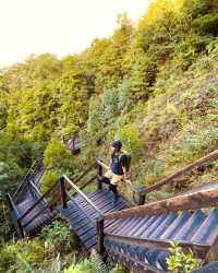 Hiking paradise｜Complete the Ngong Ping Trail in 4 hours!