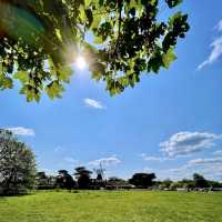 Wimbledon Common - London