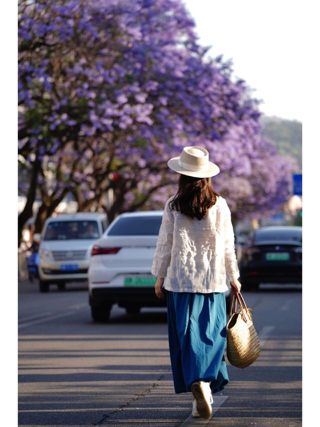 Xichang blue jacaranda, a dreamy purple sea of flowers in the hustle and bustle of the world.