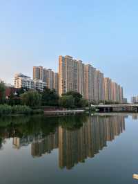 Qingdao | Giant Food Night Market 