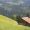 WhisperingWillow1415