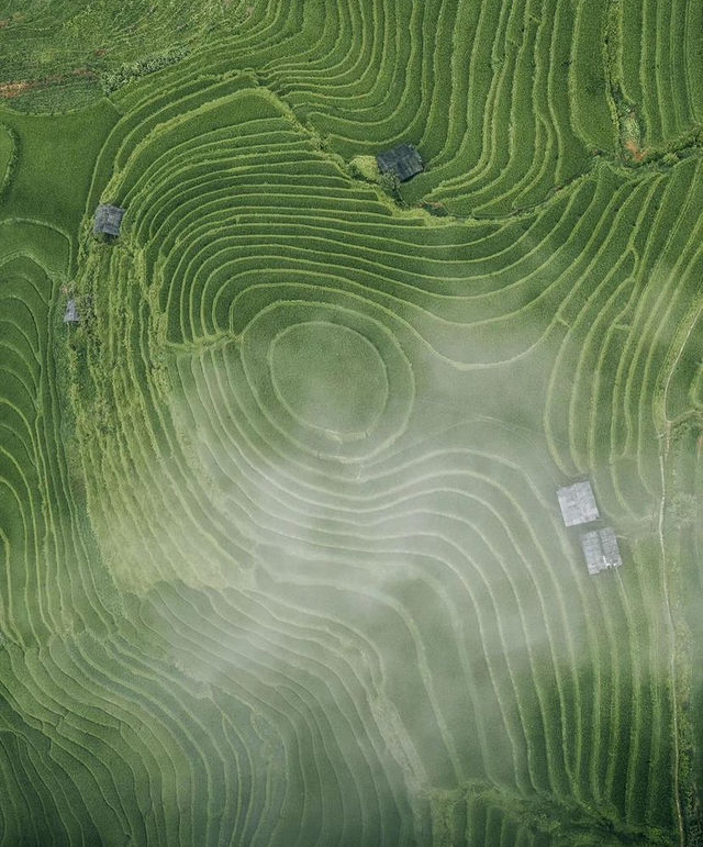 Lost in the mesmerizing terraced fields of Mù Cang Chai, where nature paints a breathtaking masterpiece!🌾🏞️