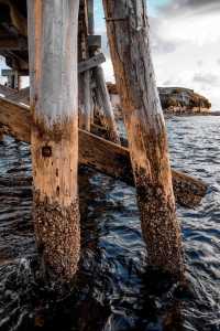 "La Perouse：悉尼沿海的攝影仙境與日落魅影"