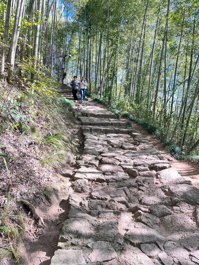 杭州尋秋——徑山寺的寧靜與靈性之旅
