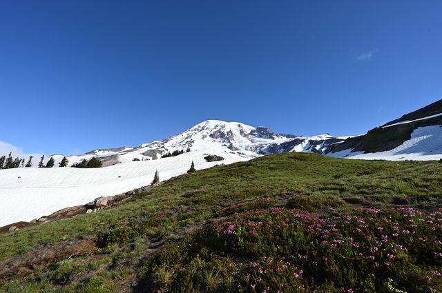 北美州名聞暇迩的雷尼爾山