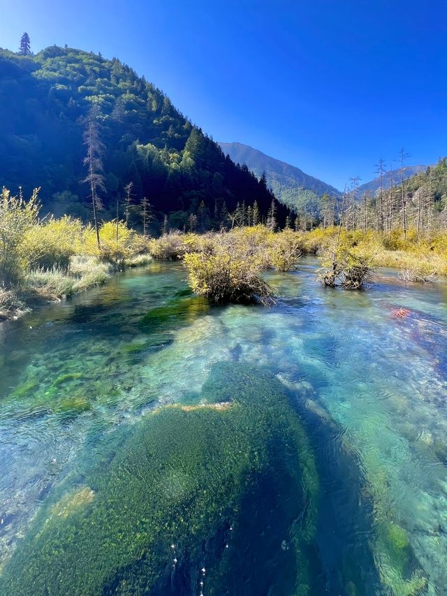 川西最美旅行地，最【九寨溝】保姆級攻略推薦