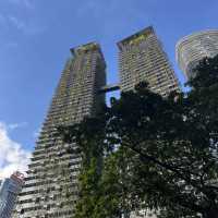 Malaysian Christmas Magic: A Tropical Escape