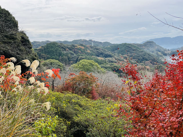 武雄溫泉之樂園