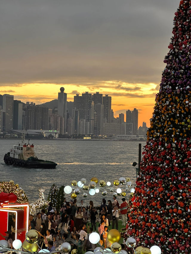 香港跟我一起來看絕美的日落聖誕樹吧