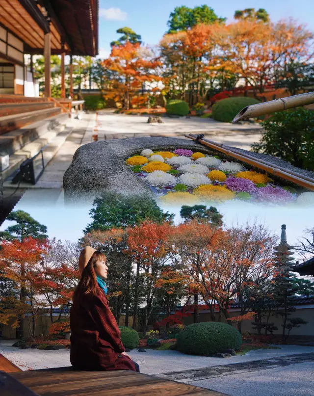 The Kyoto temple where Toyotomi Hideyoshi often lived, surprisingly no one is there during the autumn leaves season