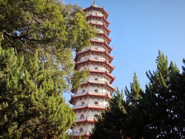 在千年的荔枝樹下見性---福州西禪古寺的禪