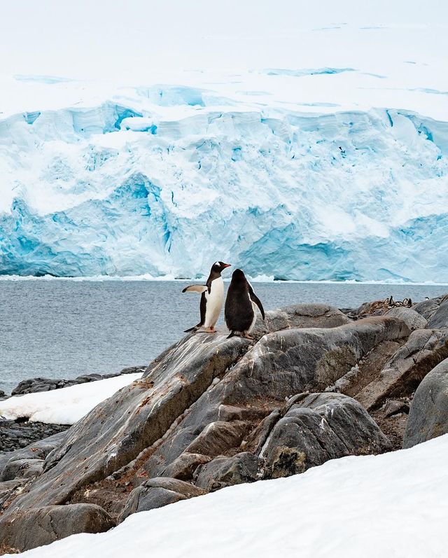 Unlocking the Final Frontier: A Dream Expedition to the Untouched Wonders of Antarctica 🌏❄️