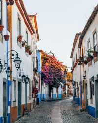 🌺🇵🇹 Bougainvillea Beauty: A Picturesque Palette in the Heart of Portugal! 📸🌿