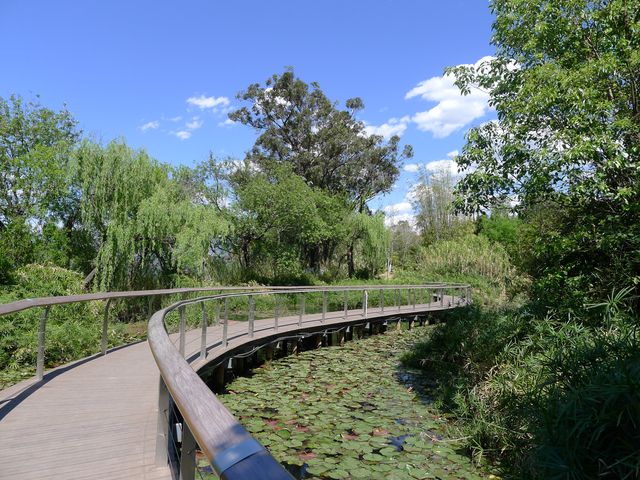 山湖之間的景觀長廊——邛海棧道