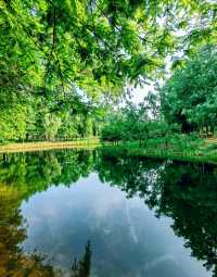 金海濕地公園,這裡不僅僅只有濕地