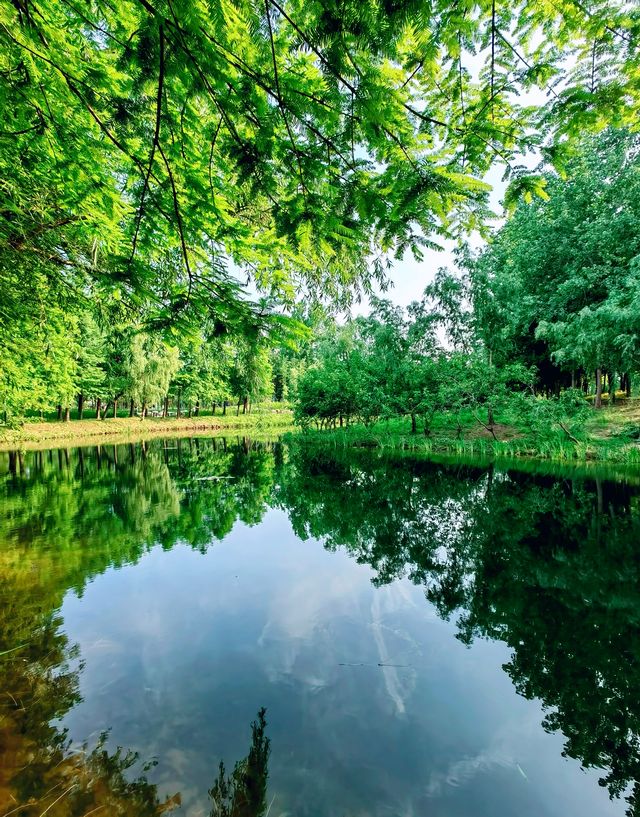 金海濕地公園,這裡不僅僅只有濕地 金海濕地公園,這裡不僅僅只有濕地